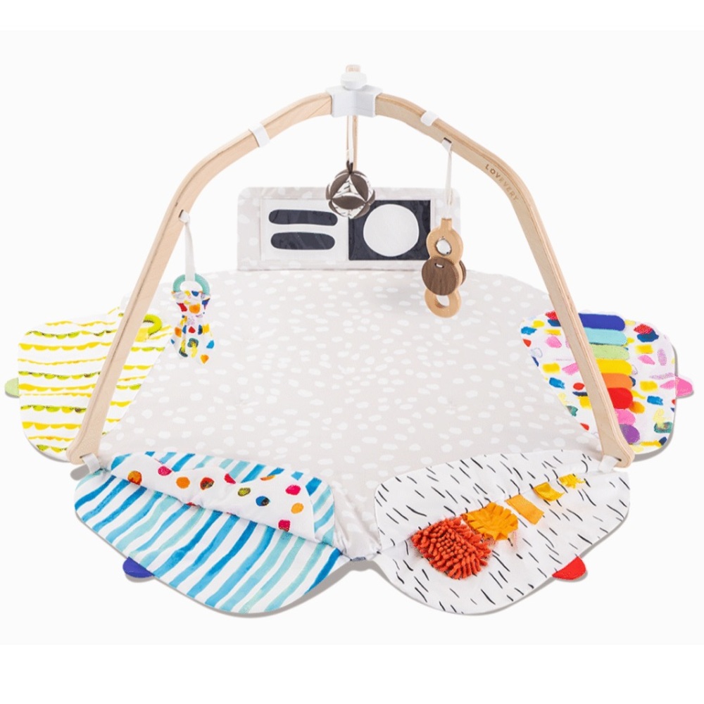 Lovevery Play Gym